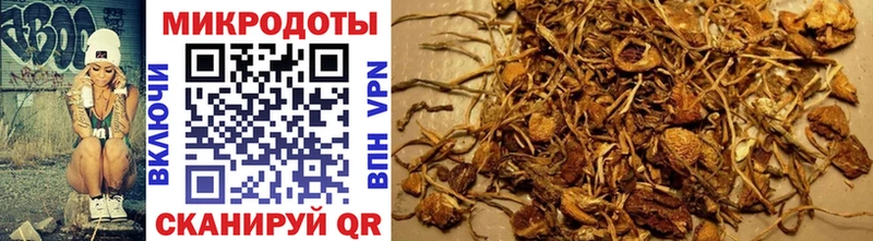 Псилоцибиновые грибы Cubensis  купить наркоту  Белёв 